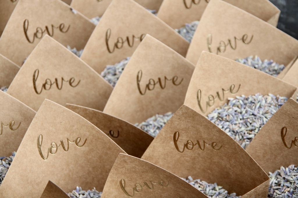 photographe cérémonie laïque